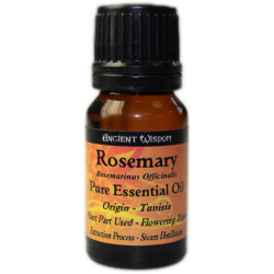 Essential Oil Rosemary Essential Oil Rosemary